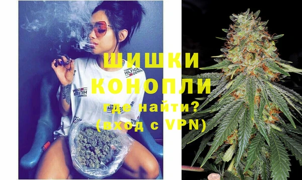 индика Тында
