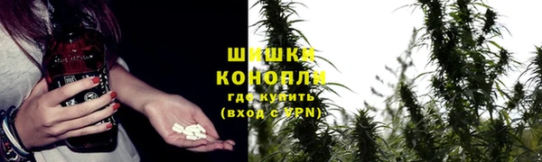 индика Бронницы