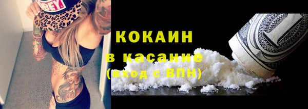 индика Бронницы
