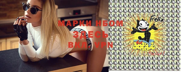 индика Бронницы