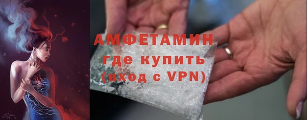 молекула духа Туринск