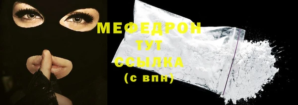 индика Бронницы