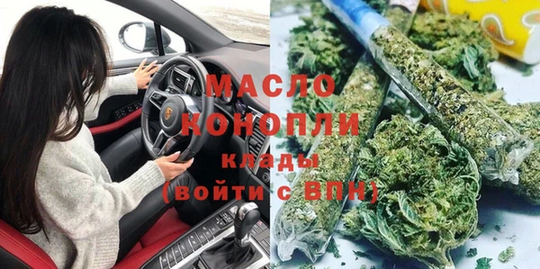 твердый Бородино
