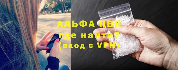 индика Бронницы
